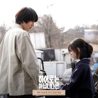 the atypical family (12 episodes)